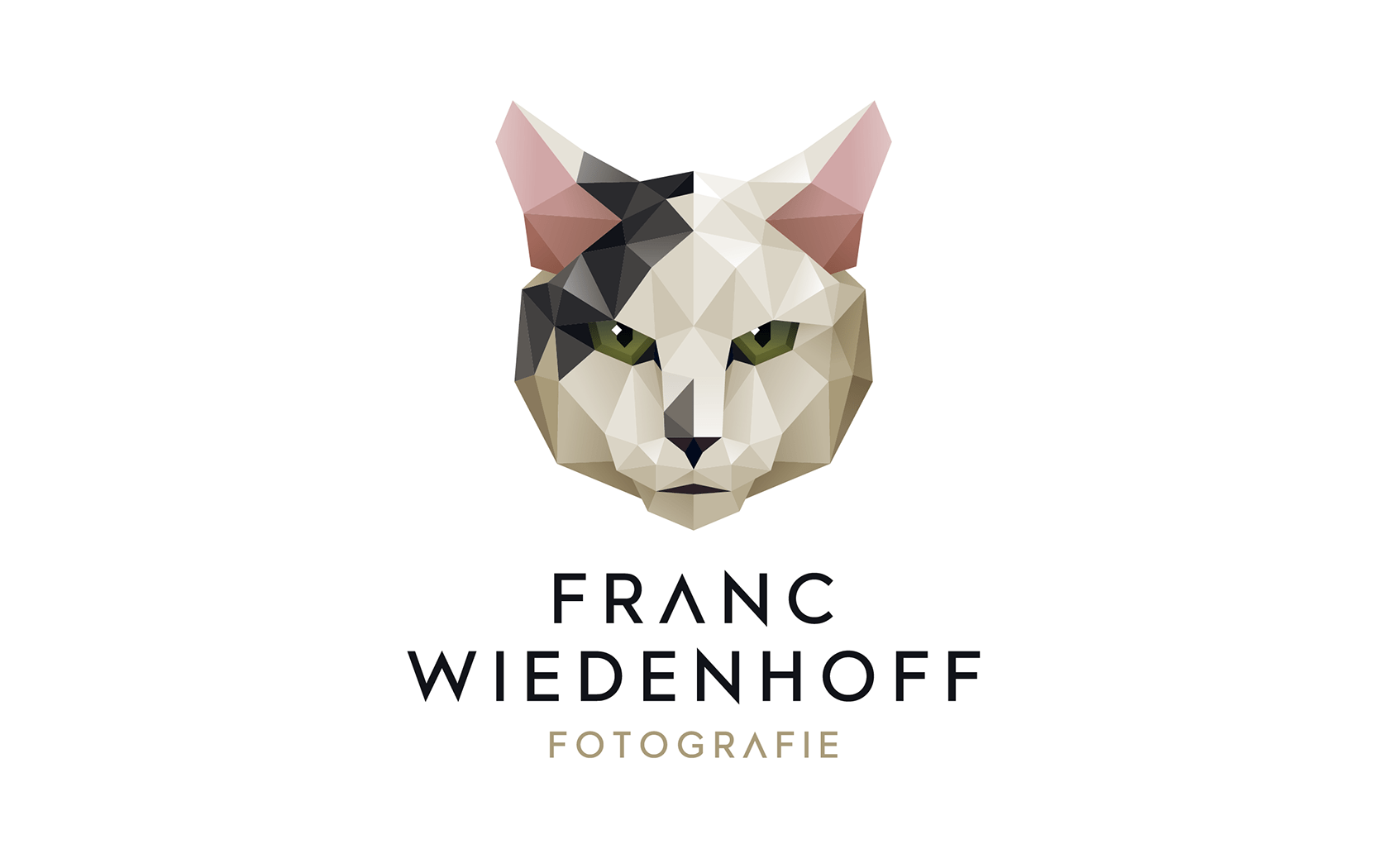 What if there are no more polar bears?